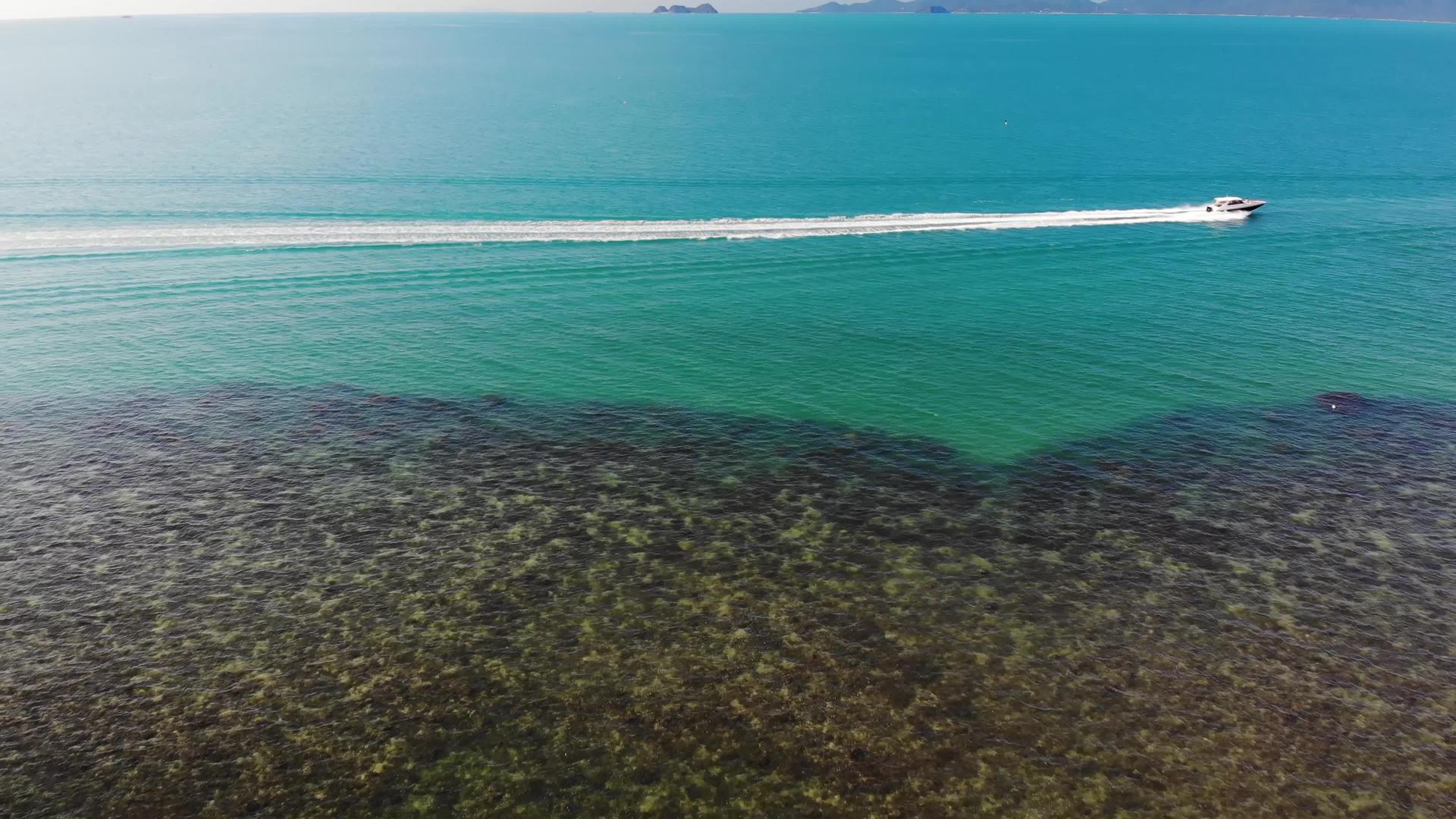 无人驾驶飞机在阳光明媚的假期观看了宁静的海边视频的预览图