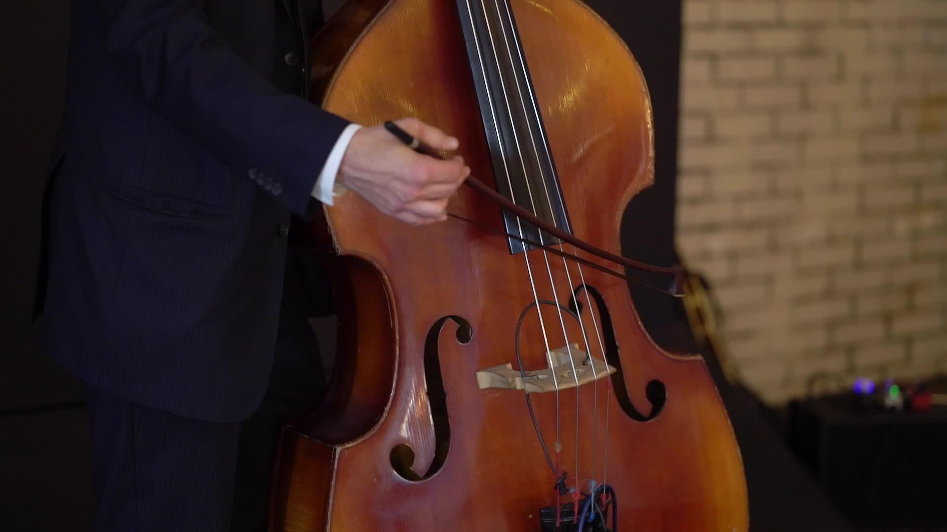 小提琴家在音乐会上演奏音乐视频的预览图