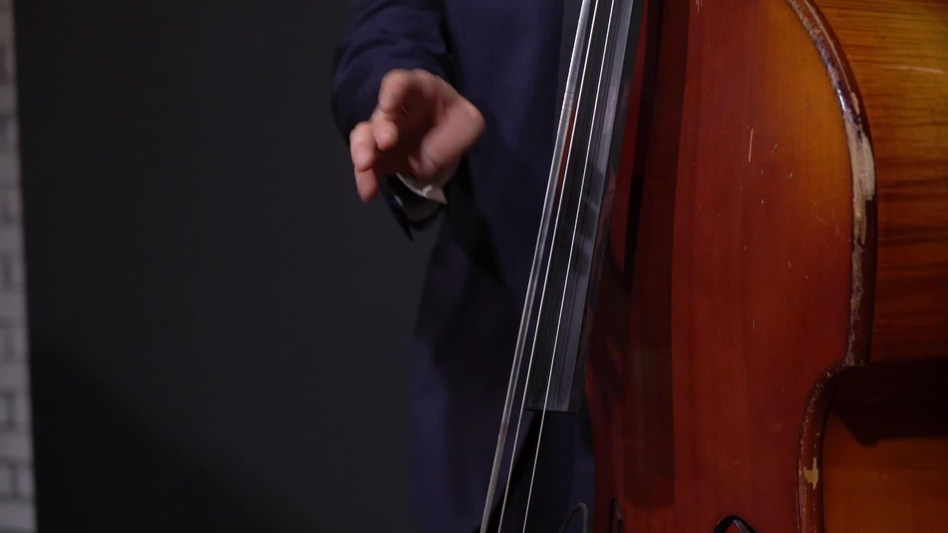 小提琴手在音乐会上表演音乐家在舞台上表演视频的预览图
