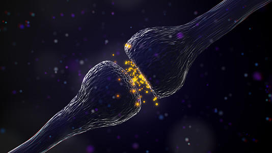 中枢神经细胞4K视频的预览图