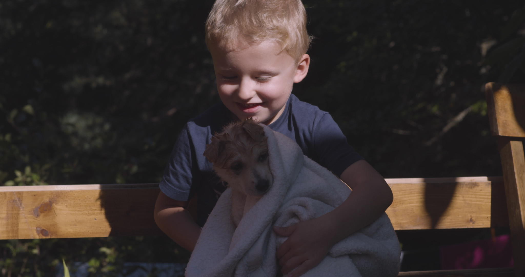 孩子们洗澡后把可爱的湿狗放在毯子里视频的预览图