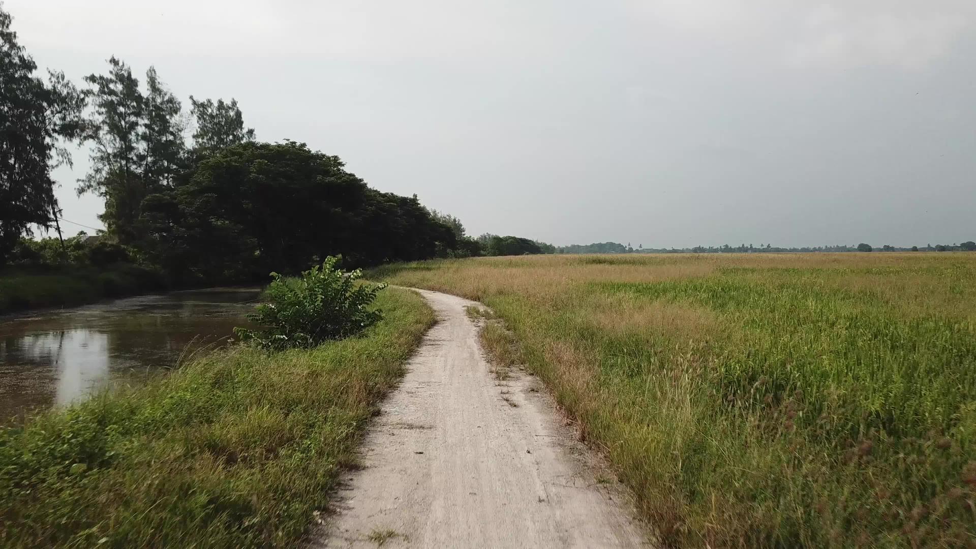 吉巴枪在农村地区开阔田地附近的一条路上奔跑视频的预览图