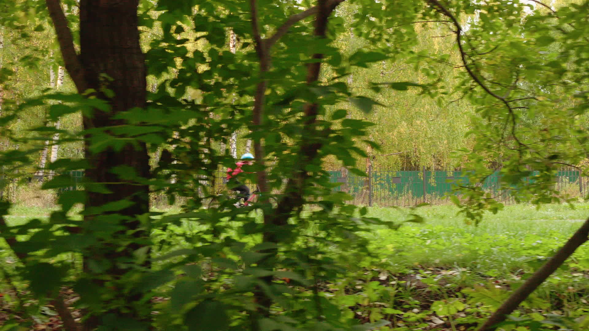 一名在农村骑自行车和滑板的男孩被多中视频的预览图