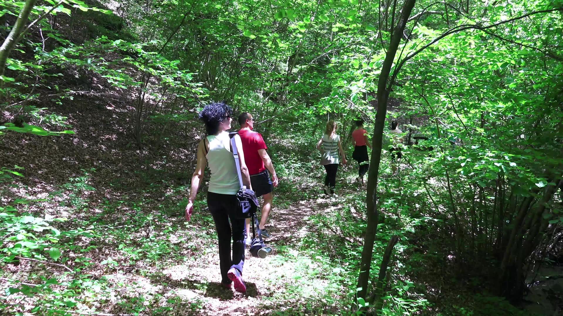 一群朋友走在森林路上视频的预览图