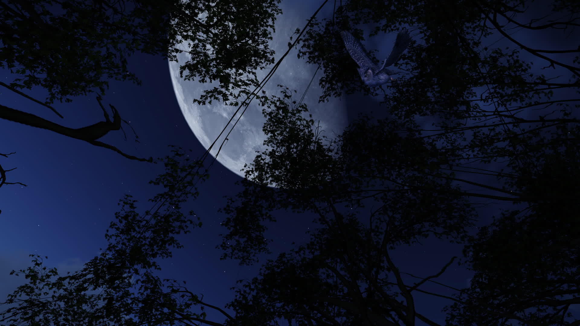 3D动画剪辑在可怕的夜晚飞翔伟大的美国角猫头鹰满月视频的预览图