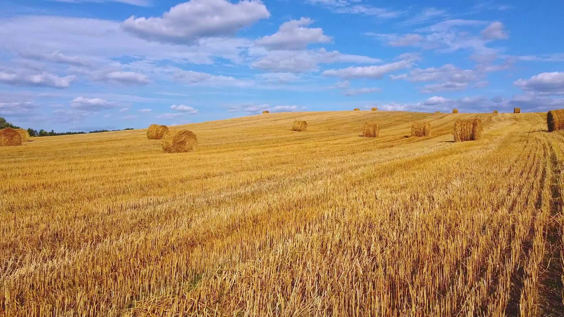 用收获的干草篮飞过收获的田地视频的预览图