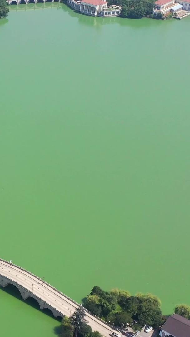 苏州金鸡湖航拍风光视频的预览图