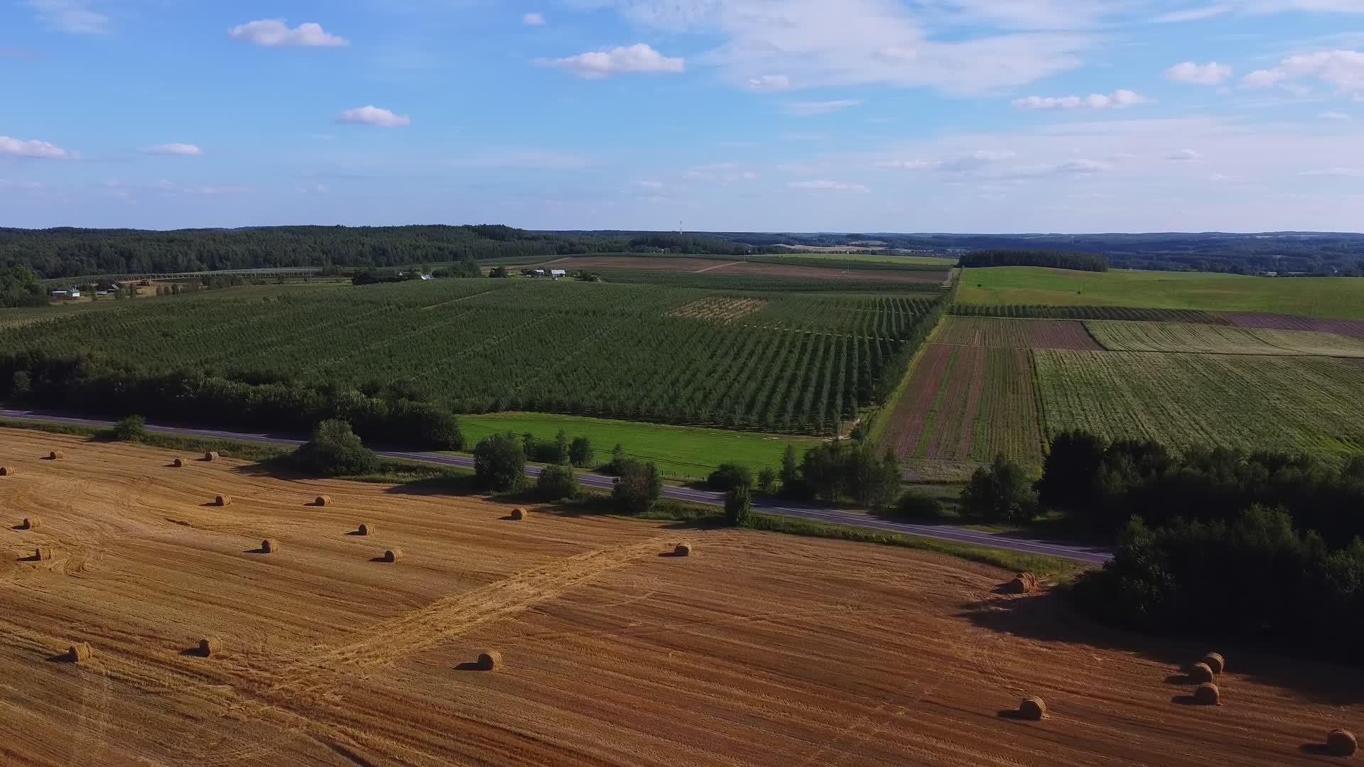 在黄色采伐的田野上你可以看到乡村的高空景象视频的预览图