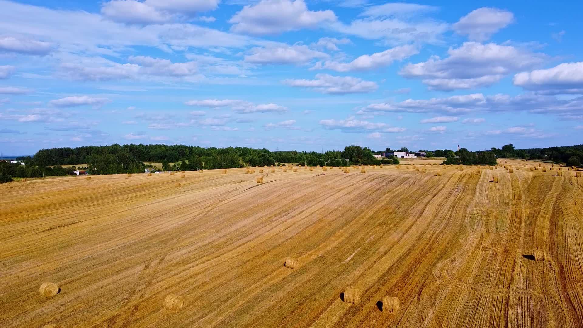 田地农业收获概念视频的预览图