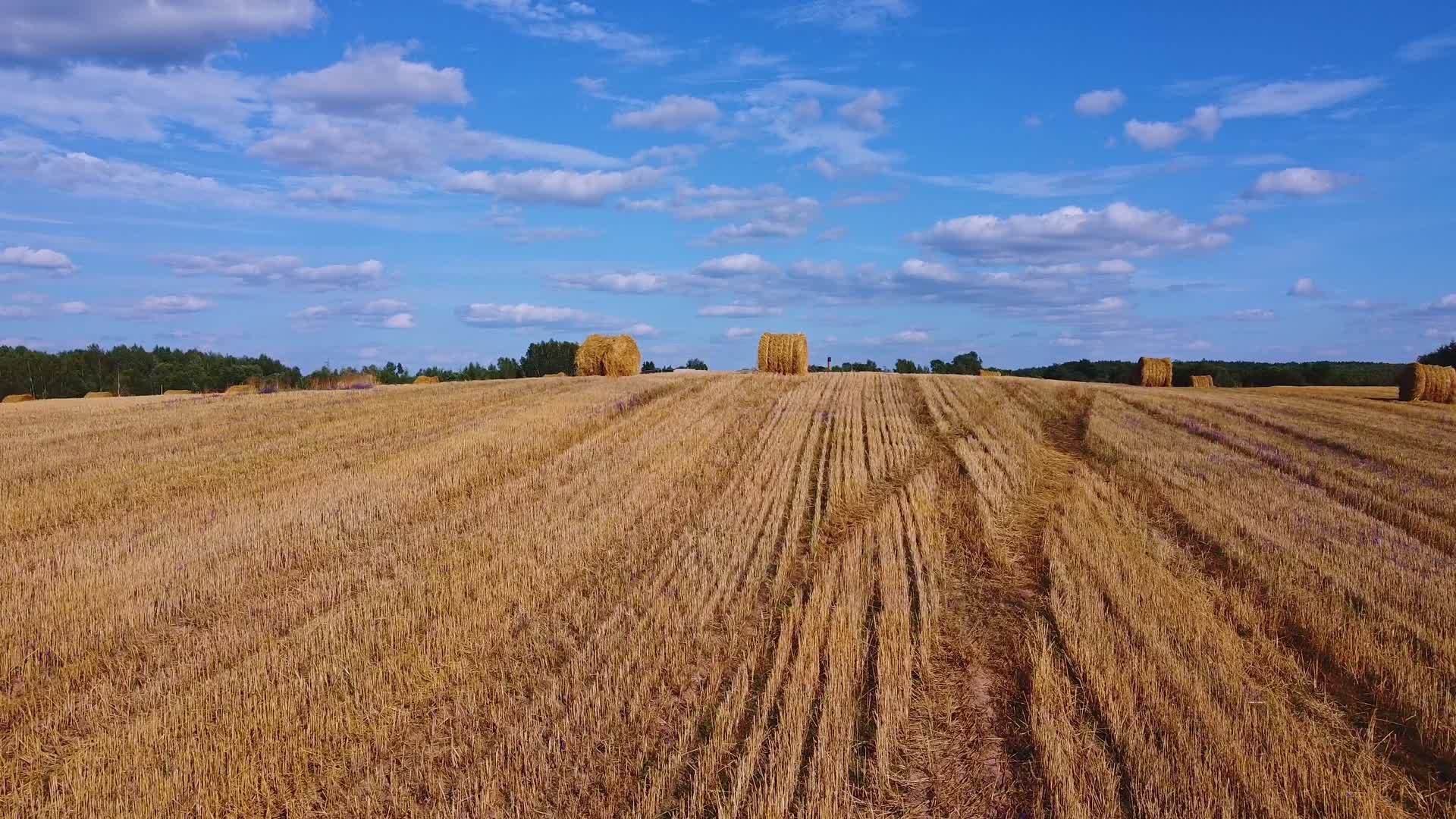 收集的干草袋飞过收获的田野收获后有干草捆的景观场视频的预览图