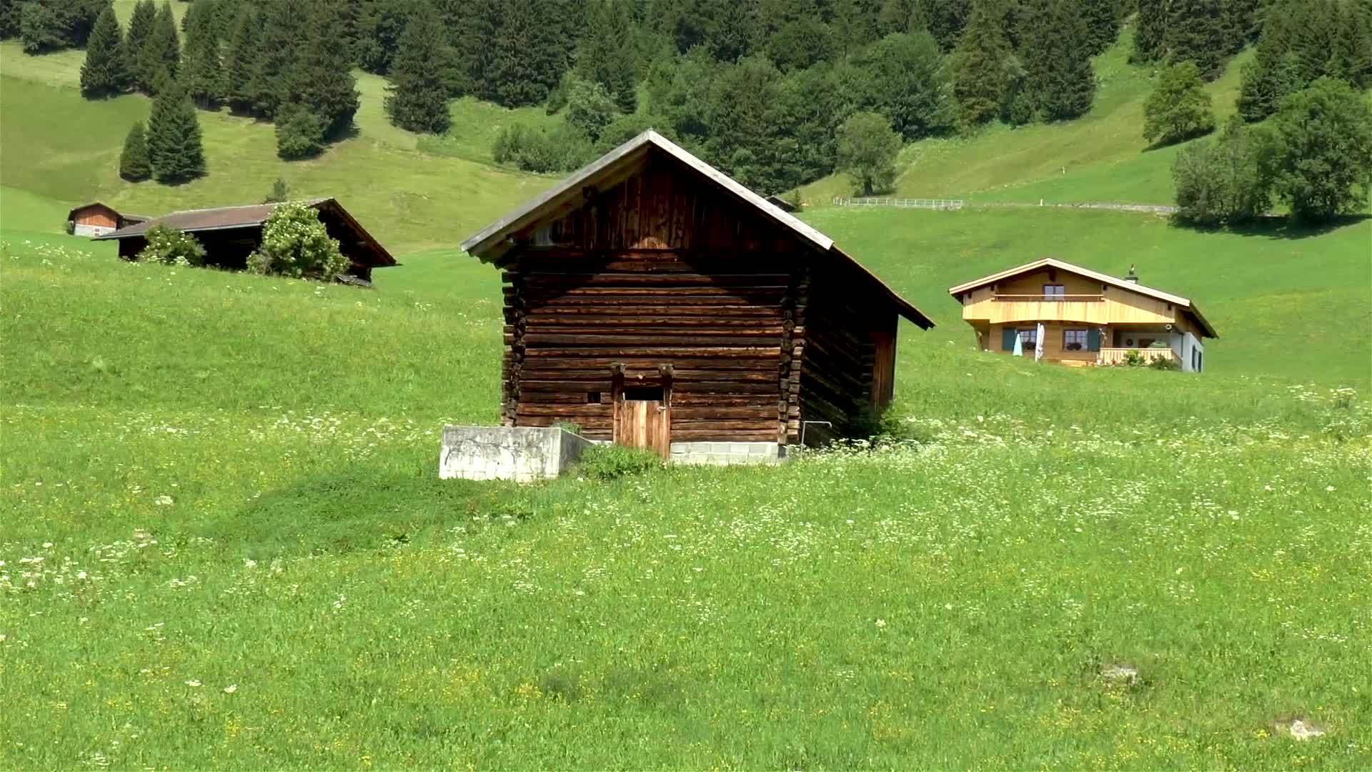 山上的小房子视频的预览图