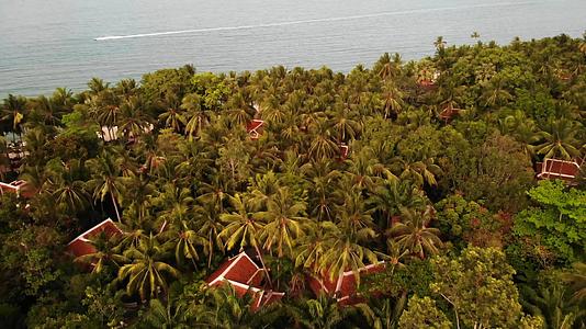 热带绿色棕榈树中隐藏着别墅屋顶的豪华别墅视频的预览图