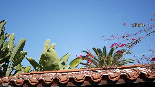 墨西哥殖民地郊区的西班牙裔房屋外观绿色花园郁郁葱葱视频的预览图