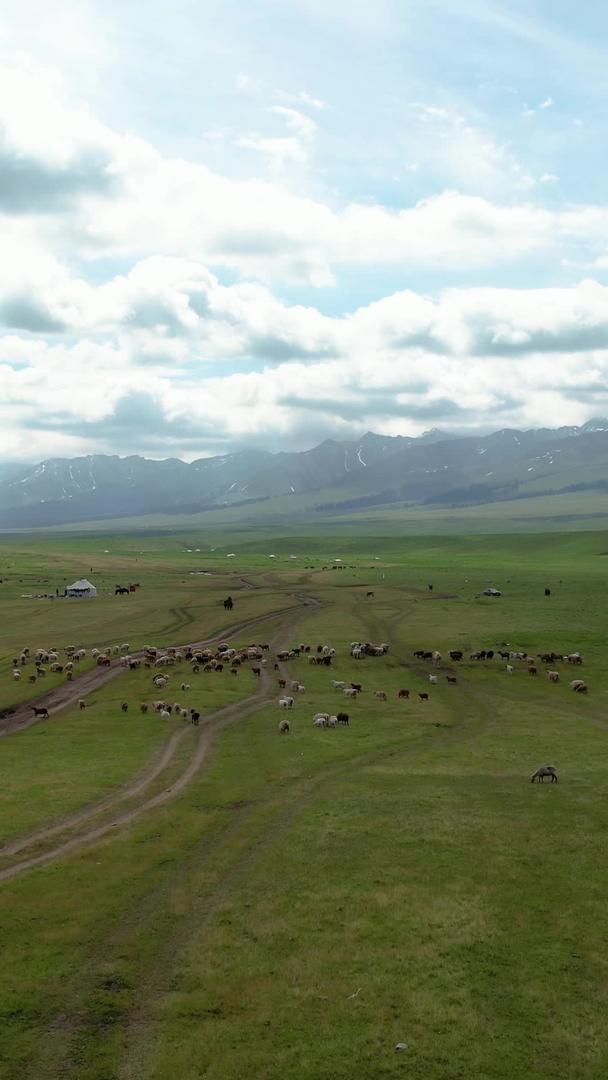 那拉提大草原牧民放牧的航拍5A景区视频视频的预览图