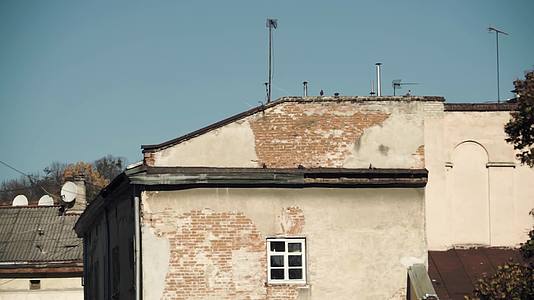 旧欧洲砖房鸽子在屋顶窗户上打开视频的预览图