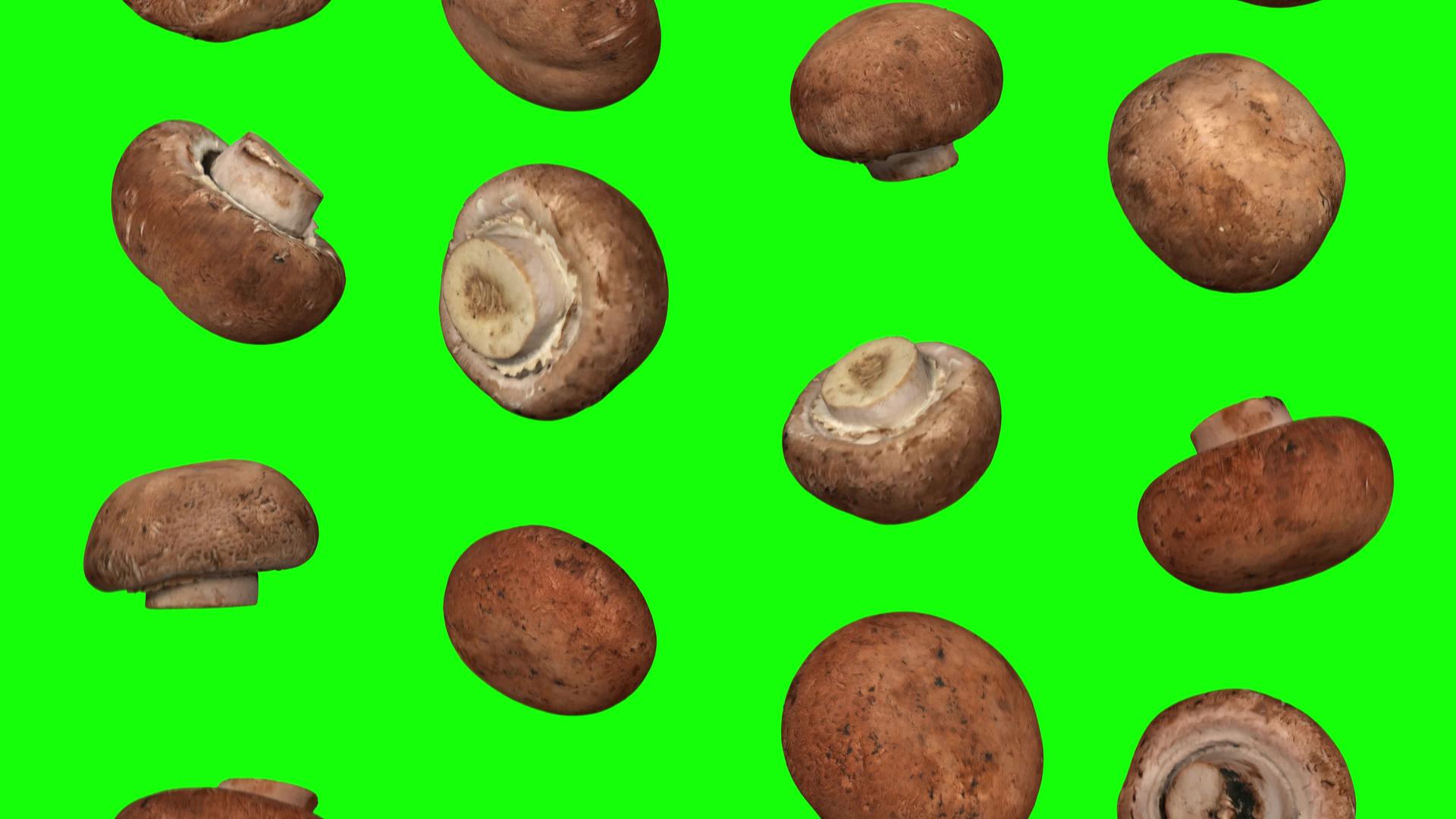 蘑菇翻滚的绿色背景视频的预览图