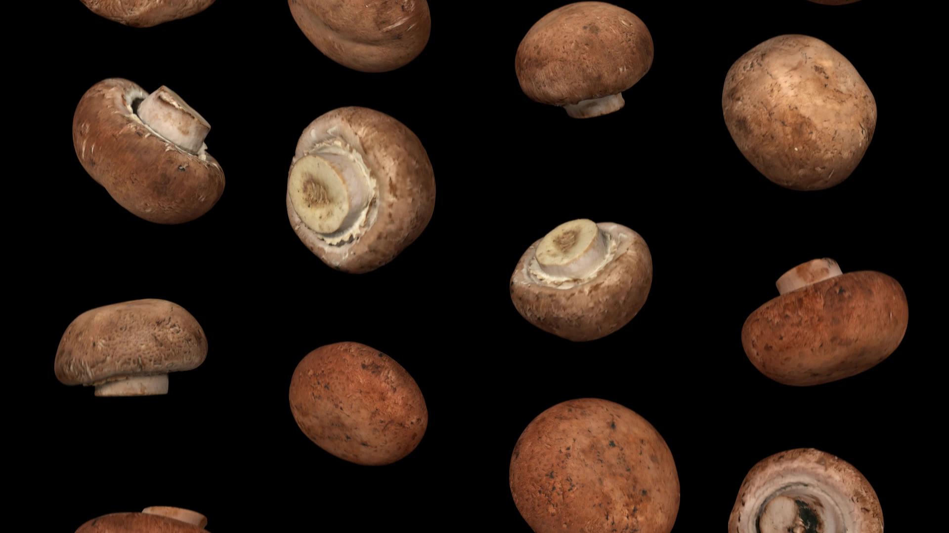 花栗蘑菇在黑色背景下翻滚01a视频的预览图