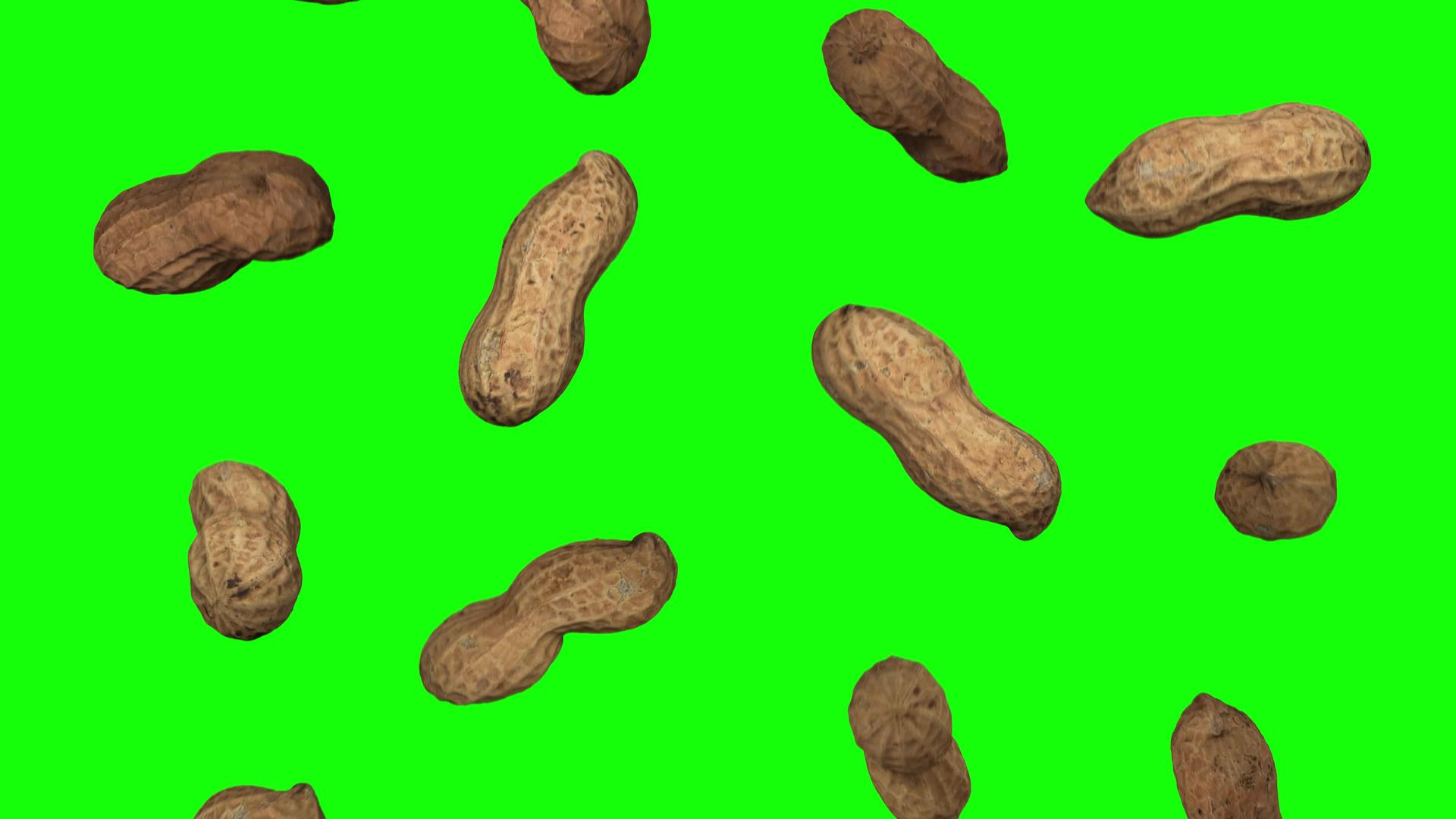 花生豆翻滚的绿色背景视频的预览图