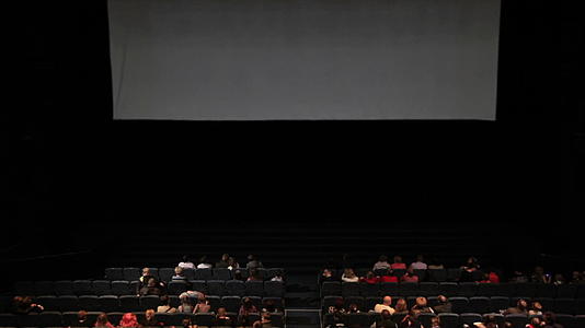 观众和屏幕运动的电影院变异版视频的预览图