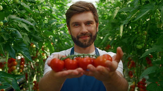 带着西红柿在绿色乡村花园里收获的男园丁微笑着视频的预览图
