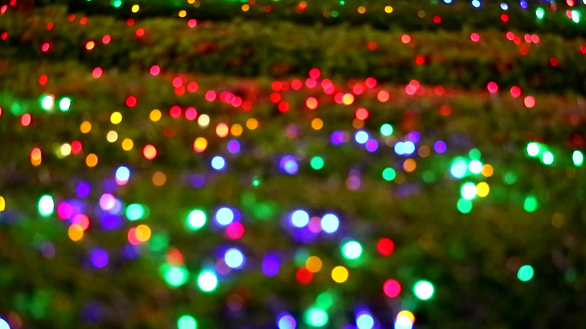 夜晚花园树模糊了彩色的灯光装饰视频的预览图