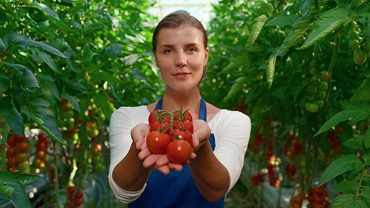 女种植园工人在农村农田肖像中展示蔬菜视频的预览图