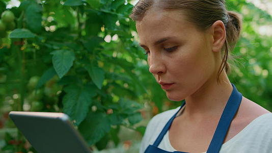 在花园特写中女农用数字平板电脑检查植物质量视频的预览图