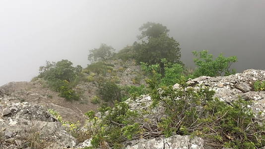 山、云、雾、烟、树、浓密陡峭的峡谷视频的预览图
