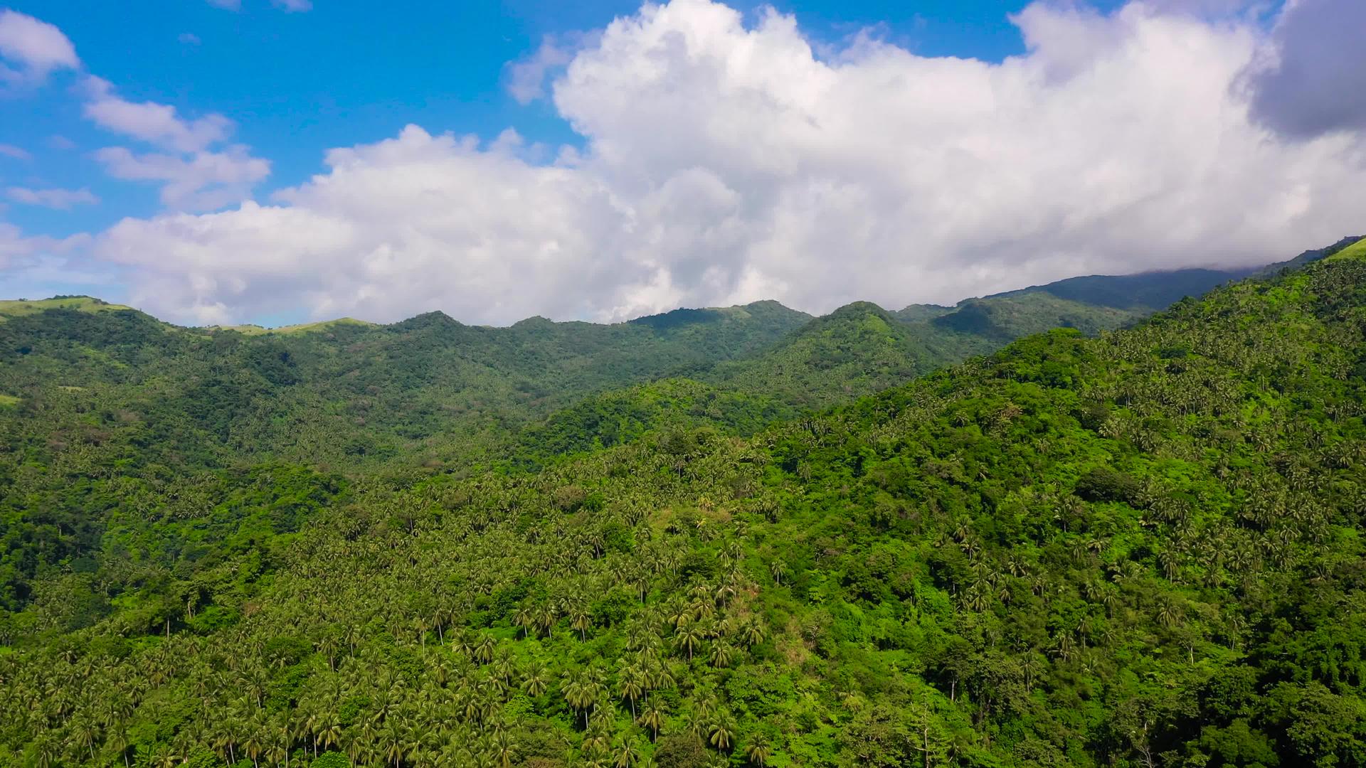 山上的冰山有雨林的空中风景还有菲利平斯岛的山脉视频的预览图