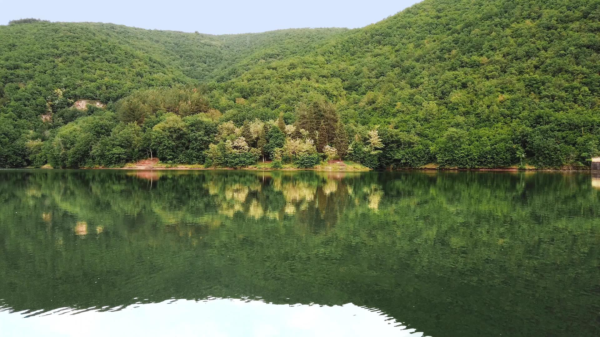瑞士的森林和绿松石湖森林和水面的倒影夏天美丽的风景视频的预览图