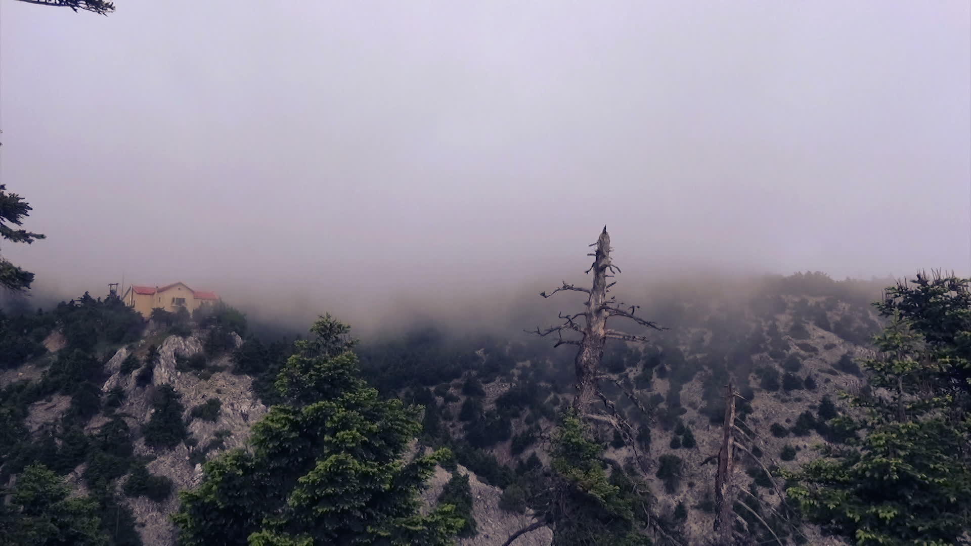 雾蒙蒙的山顶住宅视频的预览图