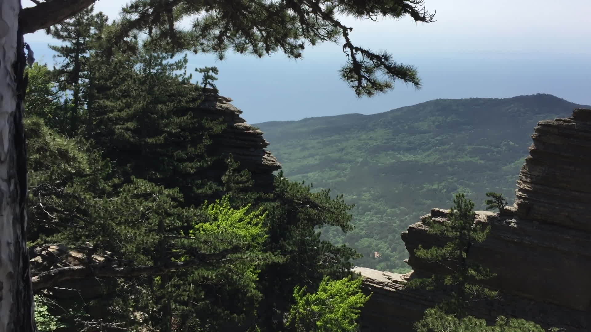 充满绿色森林和岩石墙的山谷景观视频的预览图