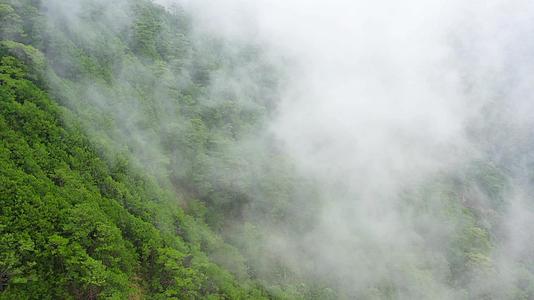 多雨的云层覆盖了绿色森林山热带气候下的雨云视频的预览图