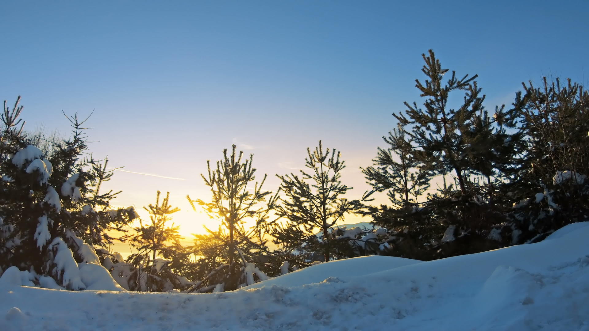 冬天在雪地乡村公路上开车看松林树和日落视频的预览图