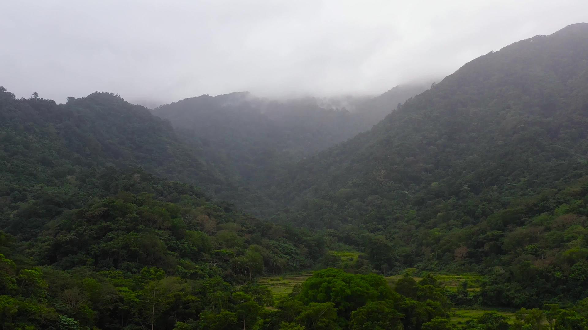 长青森林山景和蒸汽云视频的预览图