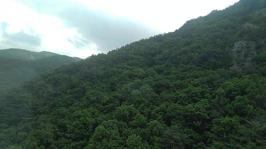 令人惊叹的绿色森林和山峰视频的预览图