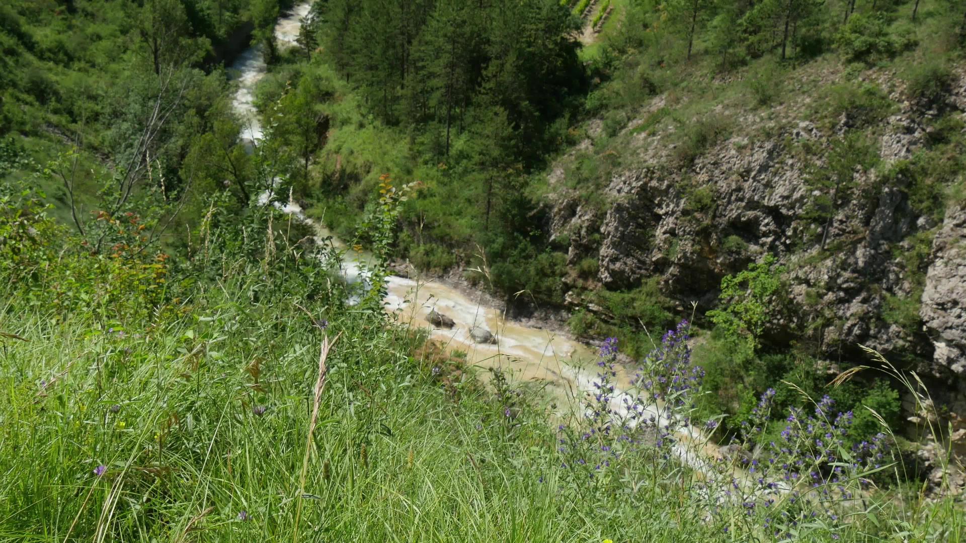 山中小溪的视图视频的预览图