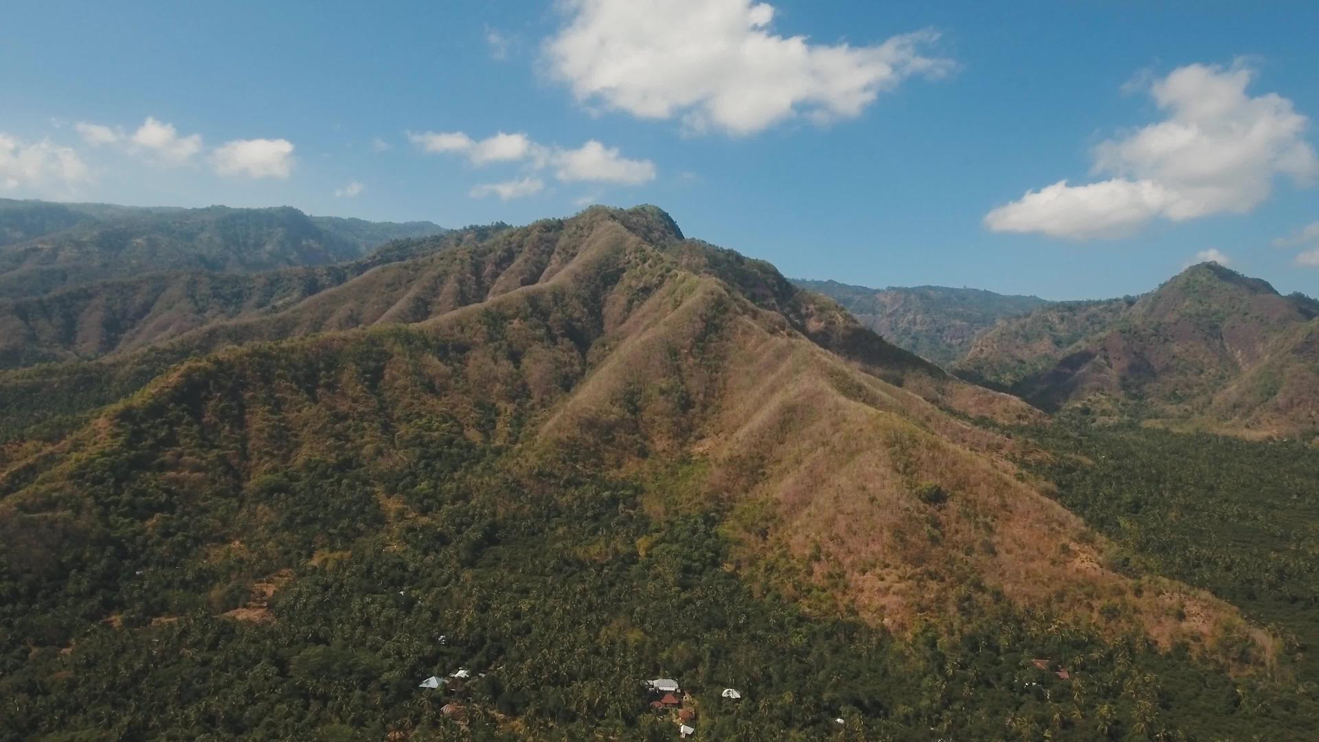 山地森林景观图bali视频的预览图