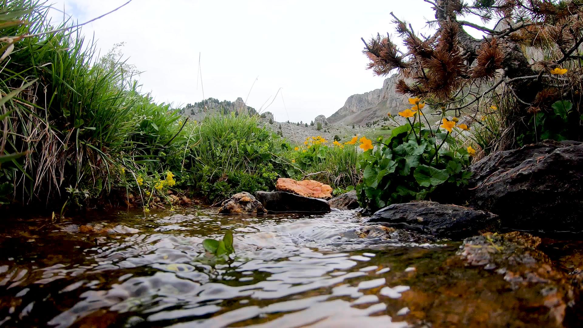 山中的小溪视频的预览图
