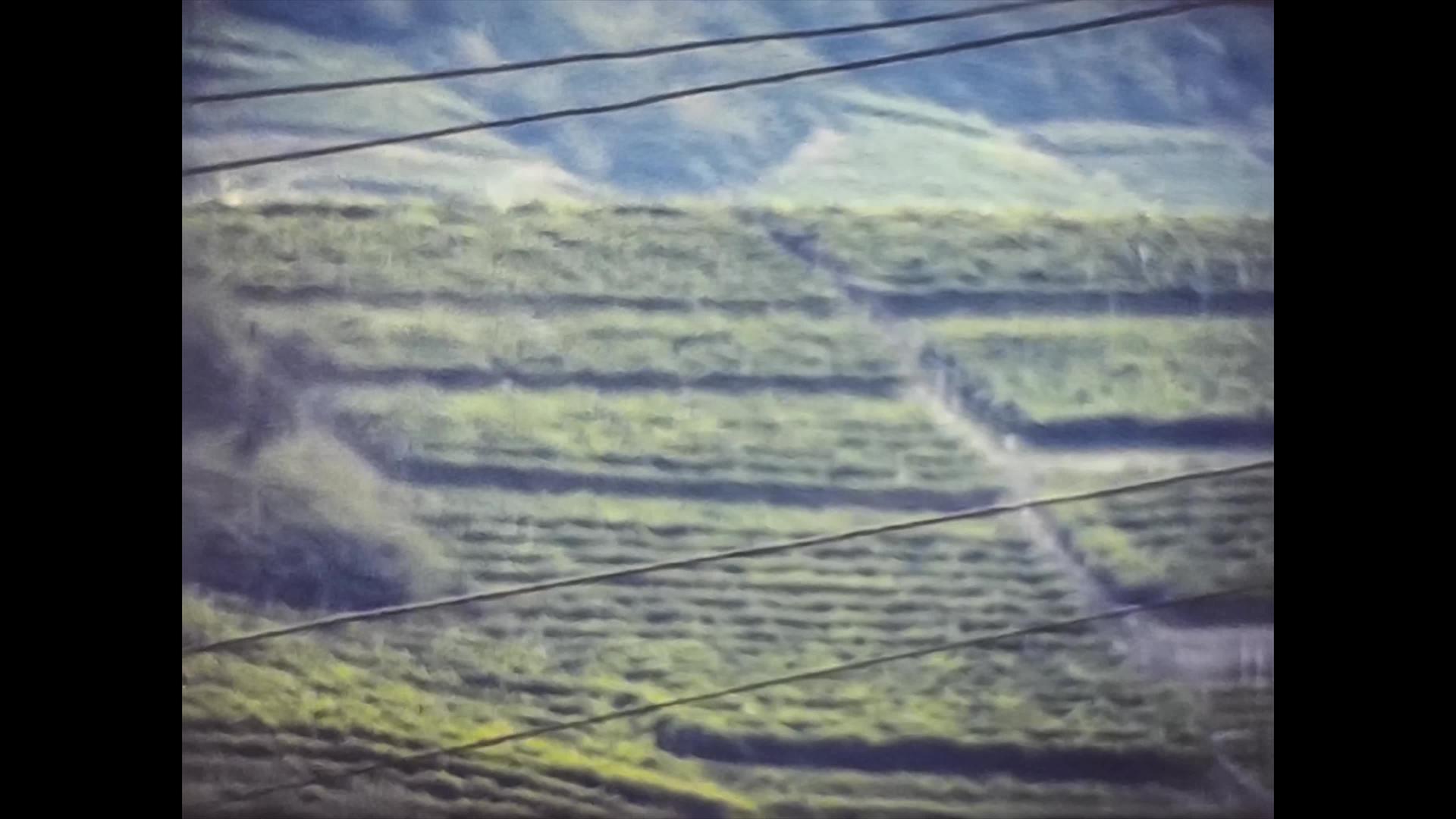 1974年多洛美特人和白兰地中的多洛美特人视频的预览图