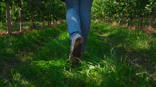 特写镜头农艺师到农村种植园控制树木质量视频的预览图