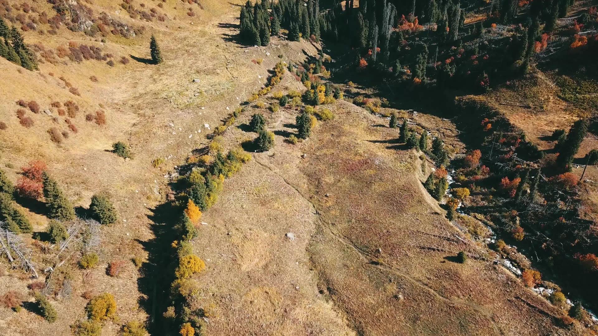秋天山上有黄草绿纤维视频的预览图