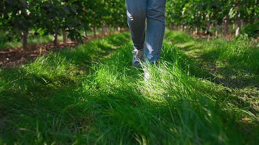 特写园丁脚种植园到农田的绿色鲜草概念视频的预览图