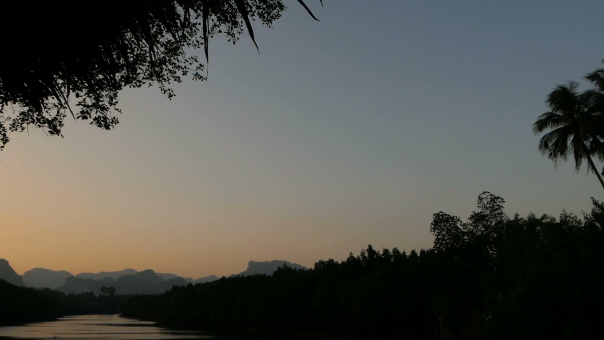 两个椰枣在河上弯曲视频的预览图