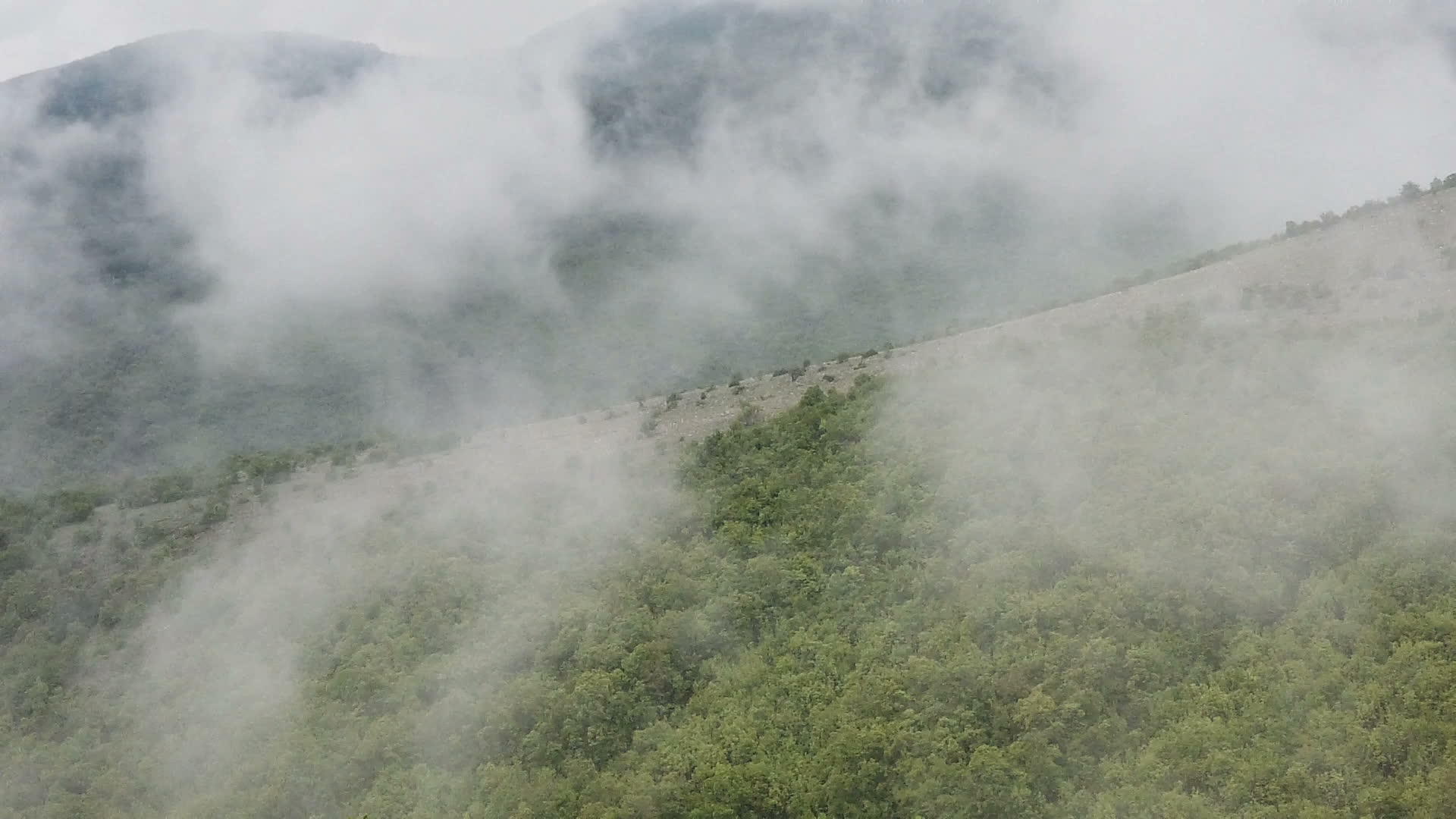 黎明雾在山上视频的预览图
