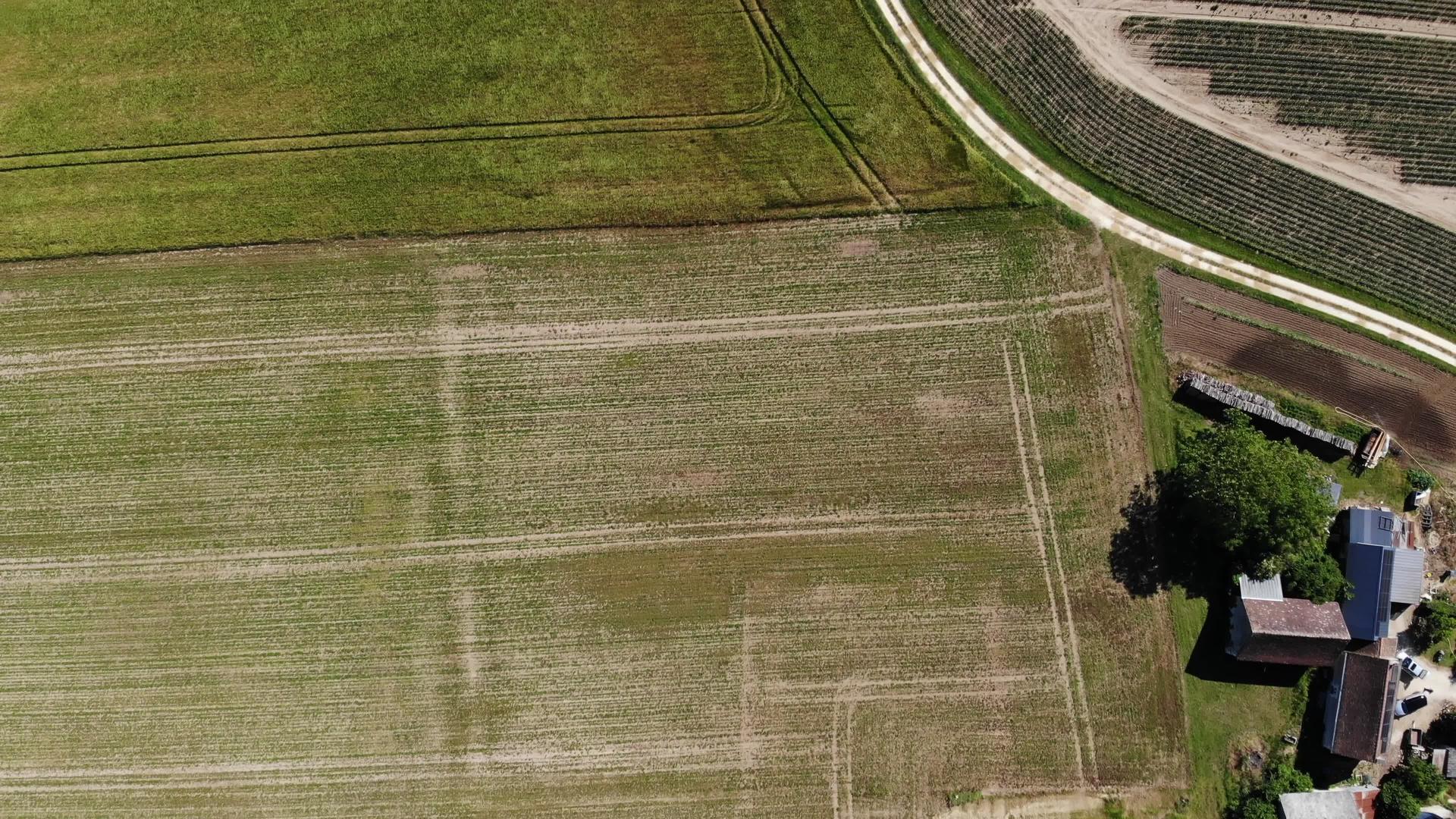 男性旅行者在土路的绿色农田之间骑自行车无人机视频的预览图
