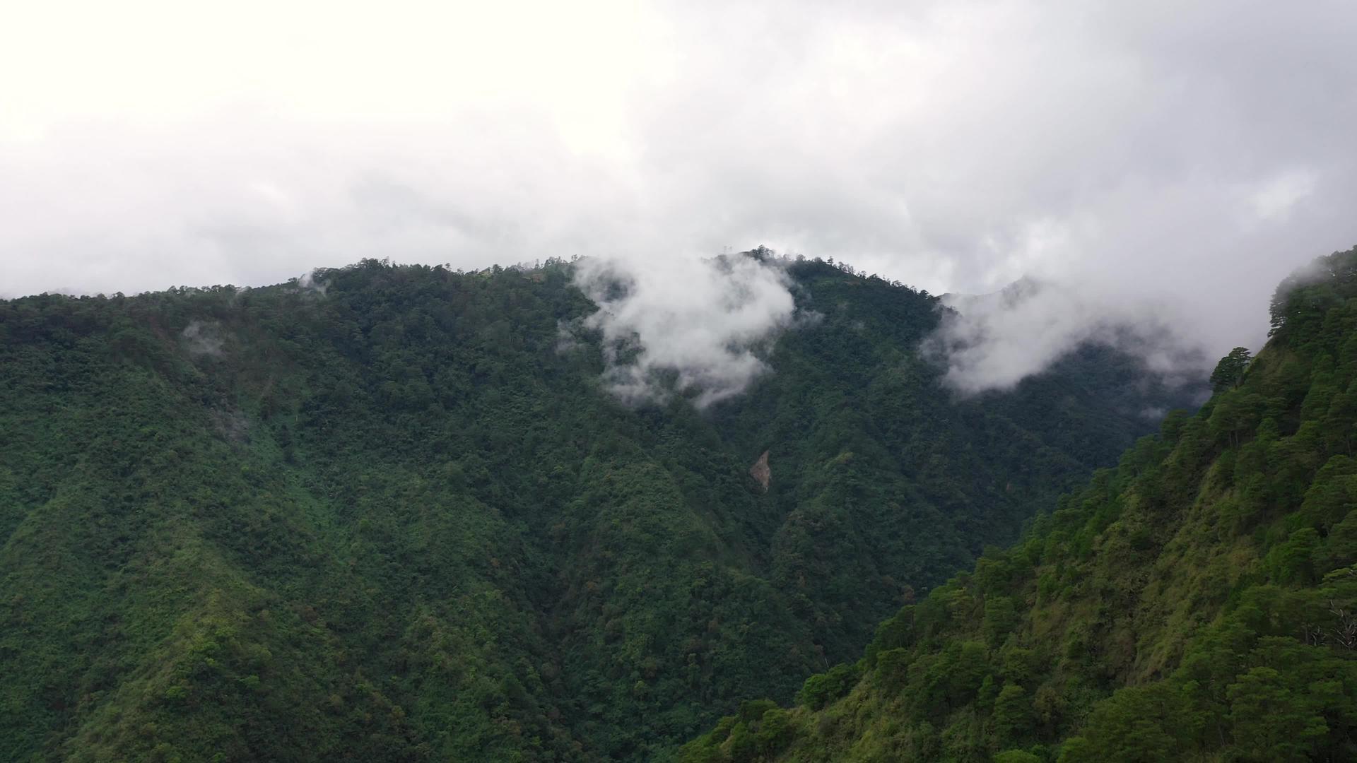 山顶雨林高原雨云视频的预览图