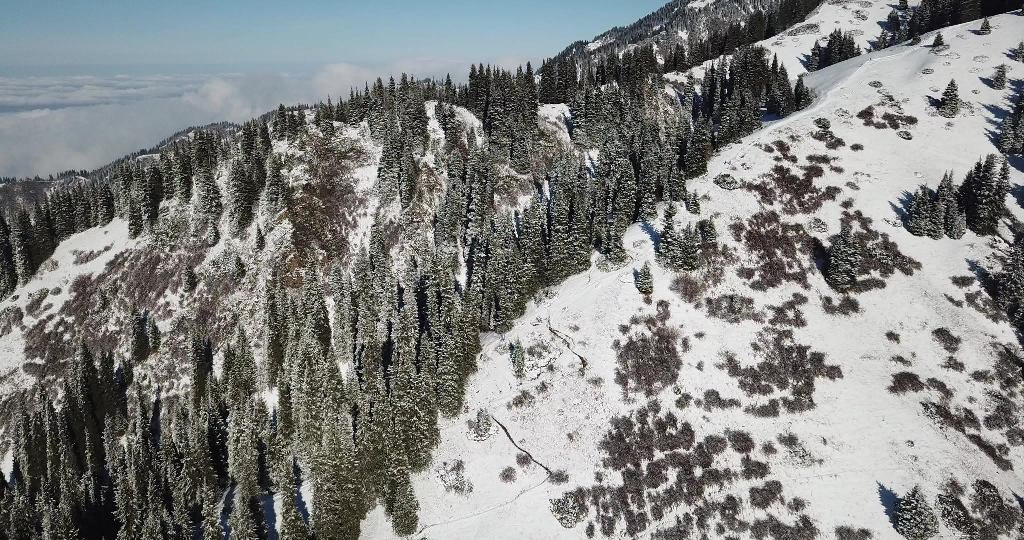 山上积雪云层之上视频的预览图