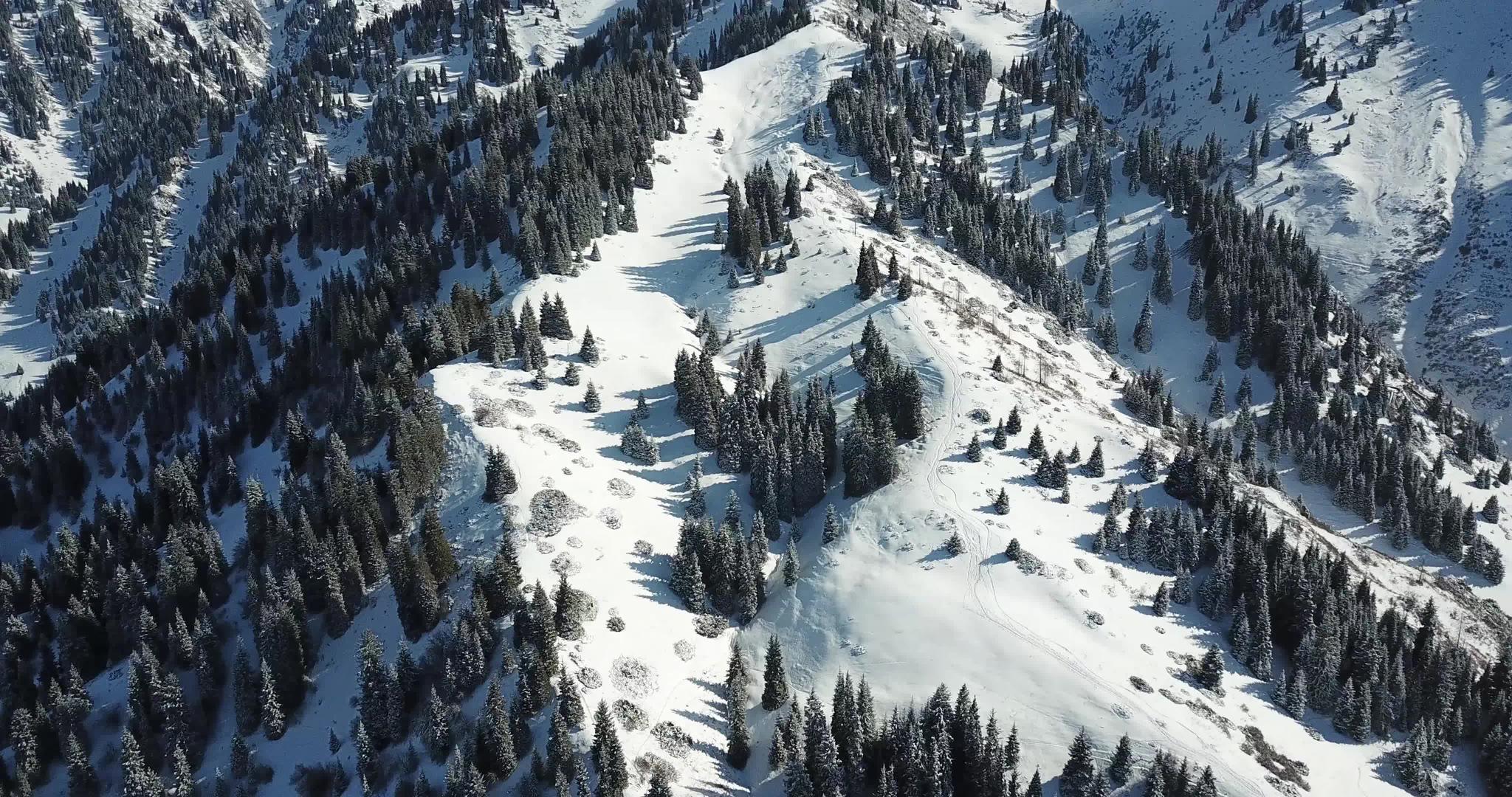 山上积雪云层之上视频的预览图