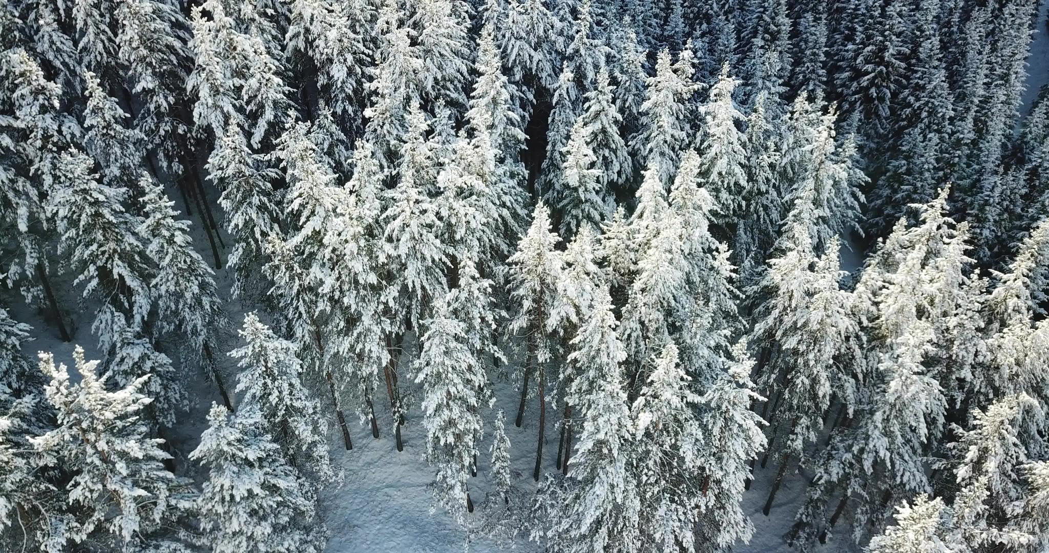 山上积雪云层之上视频的预览图